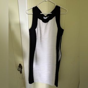 Fitted party dress
